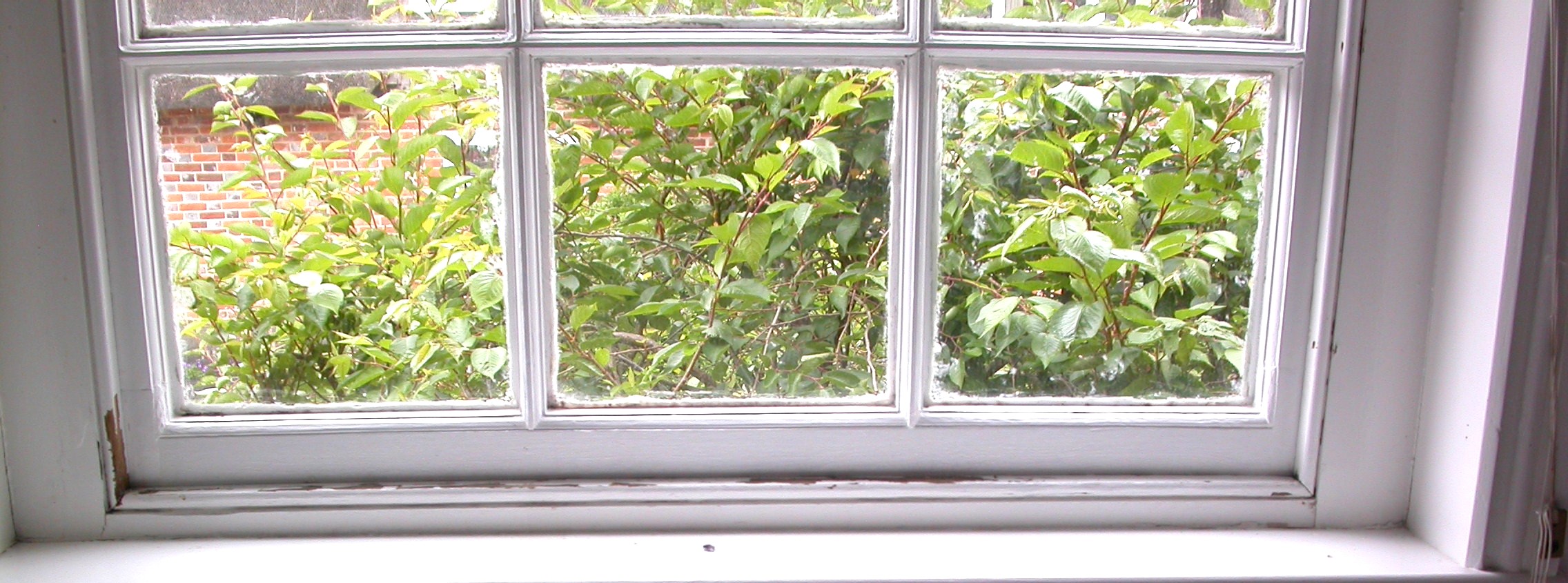Keeping the Heat In: My Experience with Wooden Windows in a Listed Home